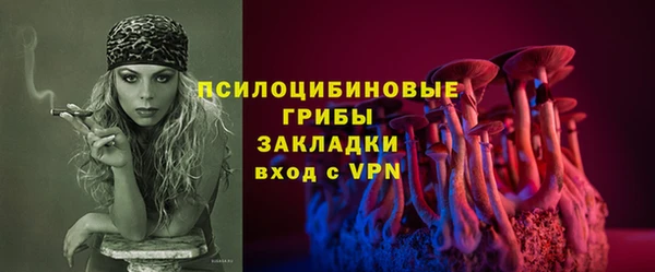 гидра Аркадак