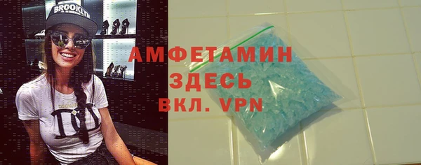 гидра Аркадак