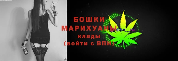 гидра Аркадак