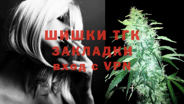 гидра Аркадак