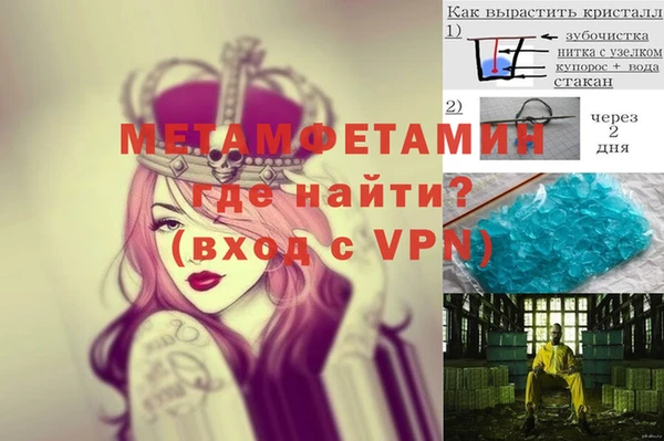 гидра Аркадак