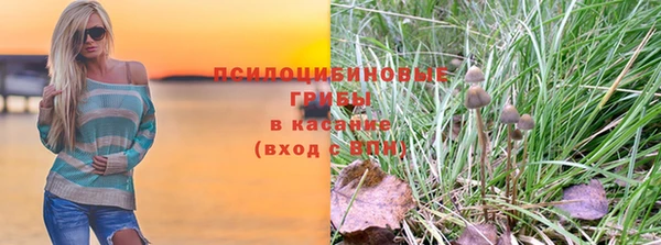 гидра Аркадак